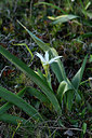 BUITEN BEELD Foto: 296347