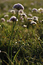BUITEN BEELD Foto: 296349