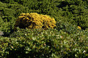 BUITEN BEELD Foto: 296360