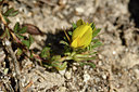 BUITEN BEELD Foto: 296362