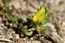 BUITEN BEELD Foto: 296364