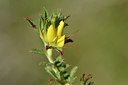 BUITEN BEELD Foto: 296365