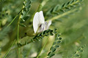 BUITEN BEELD Foto: 296366