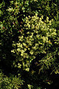 BUITEN BEELD Foto: 296368