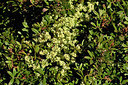 BUITEN BEELD Foto: 296369