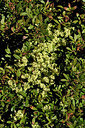 BUITEN BEELD Foto: 296370