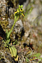 BUITEN BEELD Foto: 296372