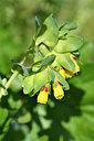 BUITEN BEELD Foto: 296379