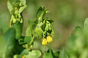 BUITEN BEELD Foto: 296380