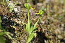 BUITEN BEELD Foto: 296389