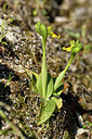 BUITEN BEELD Foto: 296390