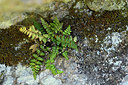 BUITEN BEELD Foto: 296405