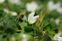 BUITEN BEELD Foto: 296414