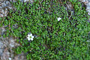 BUITEN BEELD Foto: 296415