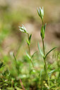BUITEN BEELD Foto: 296418