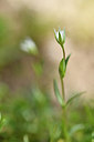 BUITEN BEELD Foto: 296419