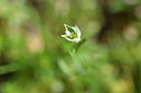 BUITEN BEELD Foto: 296420