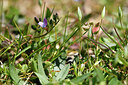 BUITEN BEELD Foto: 296426