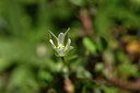 BUITEN BEELD Foto: 296435