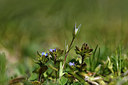 BUITEN BEELD Foto: 296440