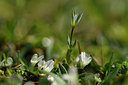 BUITEN BEELD Foto: 296442