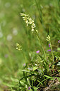 BUITEN BEELD Foto: 296449