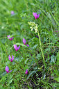 BUITEN BEELD Foto: 296451