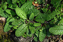 BUITEN BEELD Foto: 296468