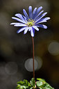 BUITEN BEELD Foto: 296470