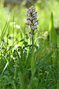 BUITEN BEELD Foto: 296475
