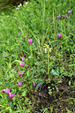 BUITEN BEELD Foto: 296494