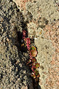 BUITEN BEELD Foto: 296497