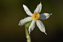 BUITEN BEELD Foto: 296501