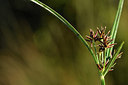 BUITEN BEELD Foto: 296504