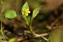 BUITEN BEELD Foto: 296506