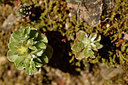 BUITEN BEELD Foto: 296516