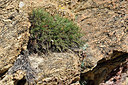 BUITEN BEELD Foto: 296524