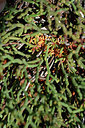 BUITEN BEELD Foto: 296525