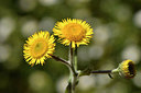 BUITEN BEELD Foto: 296539