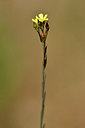 BUITEN BEELD Foto: 296541