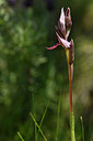 BUITEN BEELD Foto: 296546