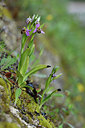 BUITEN BEELD Foto: 296586
