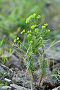 BUITEN BEELD Foto: 296598