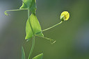 BUITEN BEELD Foto: 296604