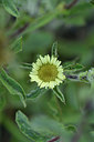 BUITEN BEELD Foto: 296607