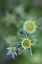 BUITEN BEELD Foto: 296610