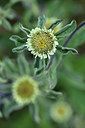 BUITEN BEELD Foto: 296611