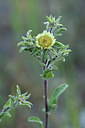 BUITEN BEELD Foto: 296612