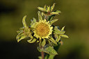 BUITEN BEELD Foto: 296615