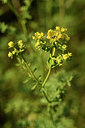 BUITEN BEELD Foto: 296616